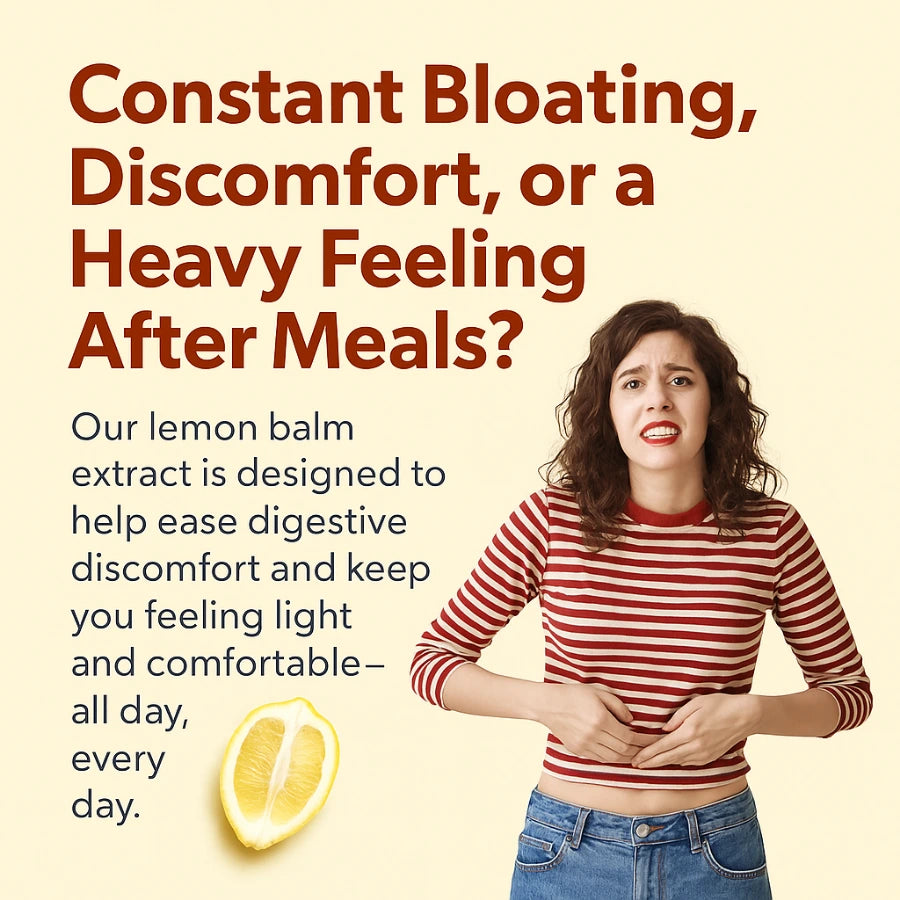 Organic Lemon Balm Extract with Ginger